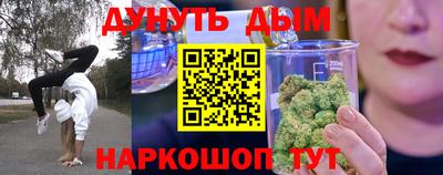 гидра Брянск