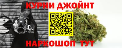 гидра Брянск