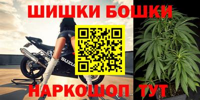 гидра Брянск