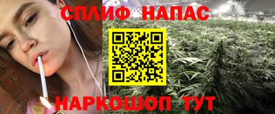 гидра Брянск
