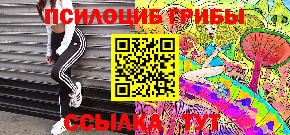 Псилоцибиновые грибы Magic Shrooms  Псилоцибиновые грибы Cubensis  где купить наркоту  Вход с VPN  Миасс 